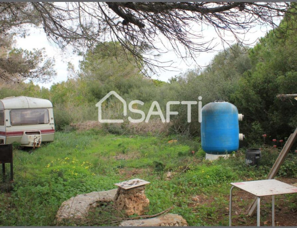 Amplio terreno agrario con pozo propio y mucha vegetacion, a pocos minutos de la playa