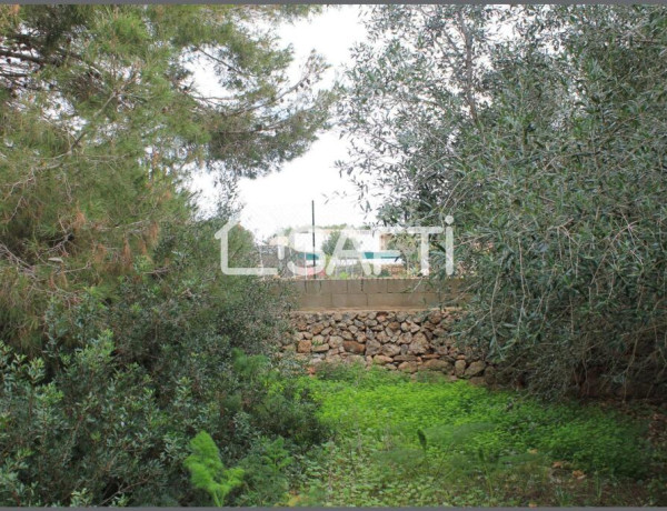 Rustic land For sell in Ciutadella De Menorca in Baleares 