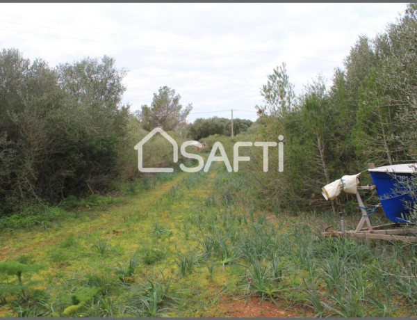 Rustic land For sell in Ciutadella De Menorca in Baleares 