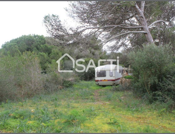 Amplio terreno agrario con pozo propio y mucha vegetacion, a pocos minutos de la playa