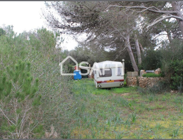 Amplio terreno agrario con pozo propio y mucha vegetacion, a pocos minutos de la playa