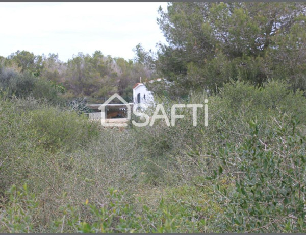 Amplio terreno agrario con pozo propio y mucha vegetacion, a pocos minutos de la playa