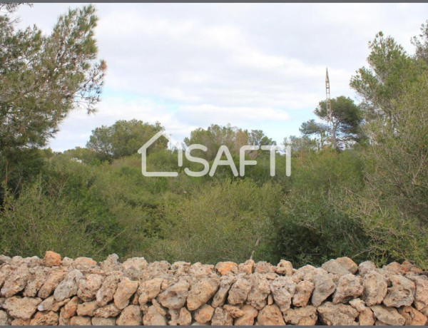 Rustic land For sell in Ciutadella De Menorca in Baleares 