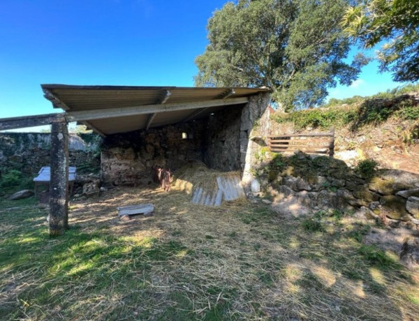 CASA TRADICIONAL GALLEGA, con ,más de 7.000 m2 de terreno urbano!