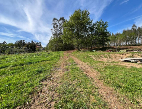 TERRENO DE 5340 M2, CON PROYECTO DE CASA INCLUIDO EN O PINO