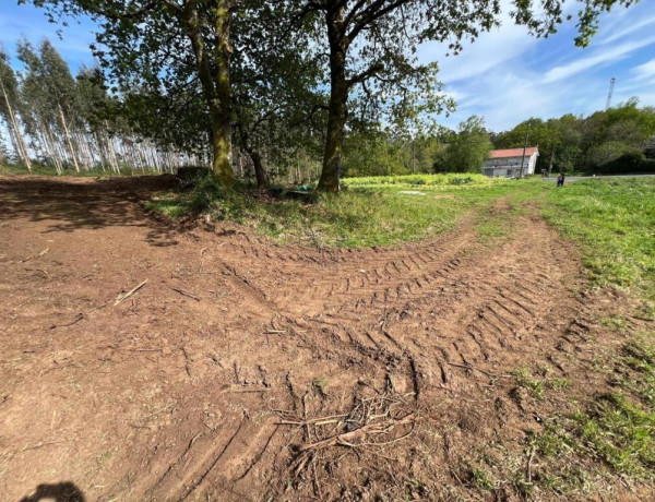 TERRENO DE 5340 M2, CON PROYECTO DE CASA INCLUIDO EN O PINO