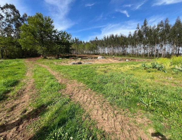 Urban land For sell in Pino, O in La Coruña 