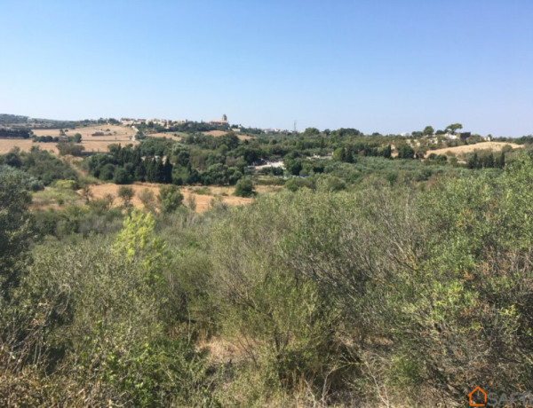 Rustic land For sell in Muro in Baleares 