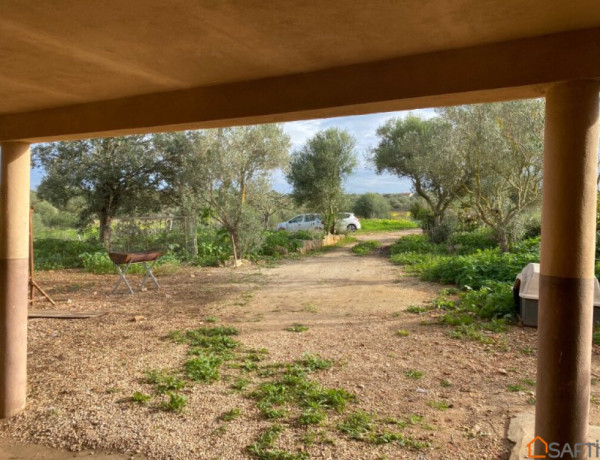 Country house For sell in Campos in Baleares 