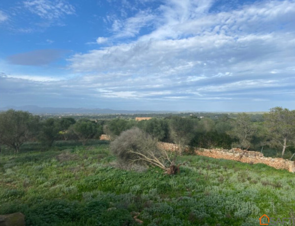 Casa en el campo entre Santanyí y Campos con vistas.