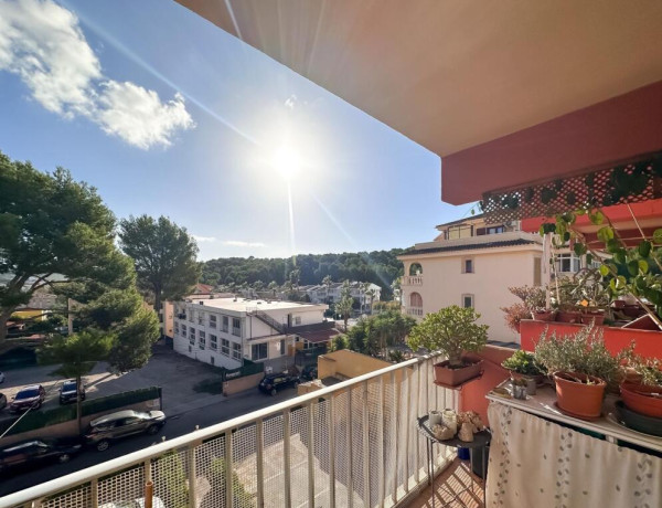 Apartment For sell in Calvia in Baleares 