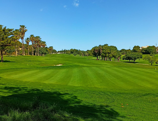 Lomas de Campoamor