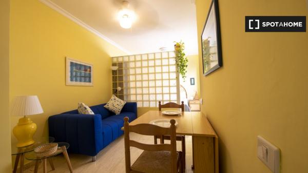 Studio apartment for rent in Las Palmas de Gran Canaria