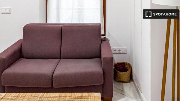 Apartamento de 1 dormitorio en alquiler en Sevilla