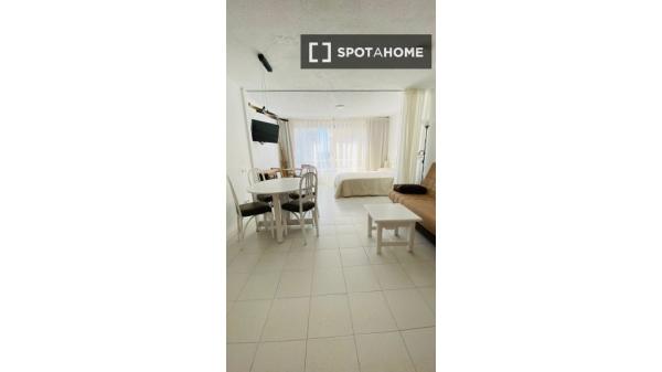 Apartamento de 1 dormitorio en alquiler en Alicante , Alicante