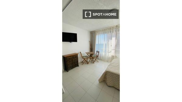 Apartamento de 1 dormitorio en alquiler en Alicante , Alicante