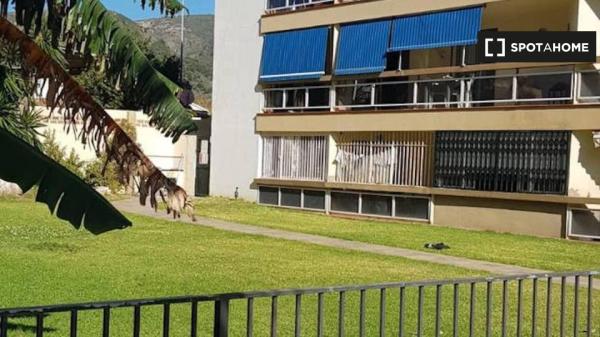 Estudio en alquiler en El Bajondillo, Málaga