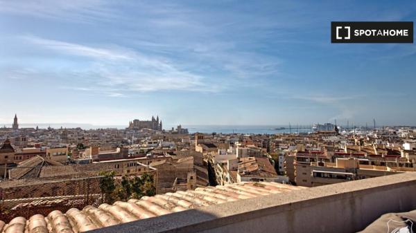 Ganze 3-Zimmer-Wohnung in Palma