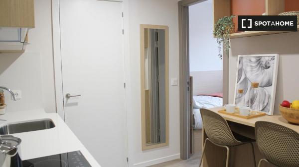 Studio apartment for rent near the UPNA, Pamplona