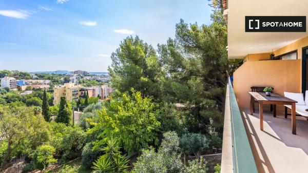 Whole 2 bedrooms apartment in Palma