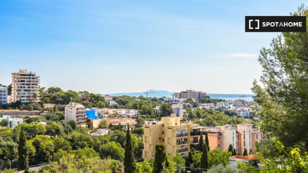 Piso completo de 2 habitaciones en Palma