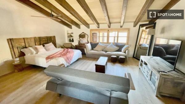 Appartamento con 1 camera da letto in affitto a Pollença, Palma