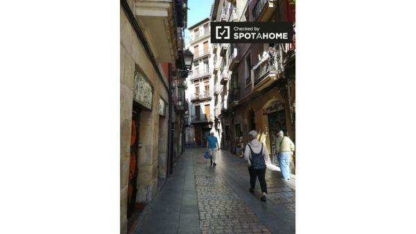 Chambre à louer dans un appartement de 3 chambres à Solokoetxe, Bilbao