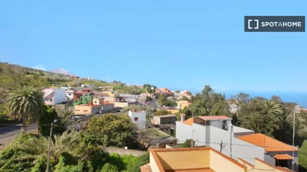 Whole 7 bedrooms apartment in Tacoronte