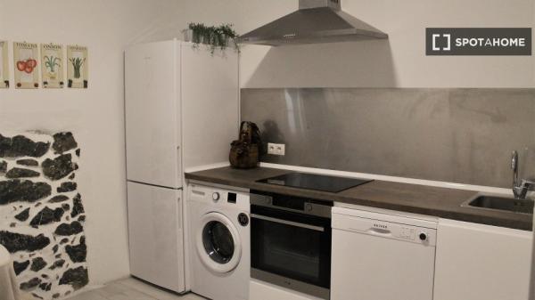 Piso de 2 habitaciones en alquiler en Euskadi