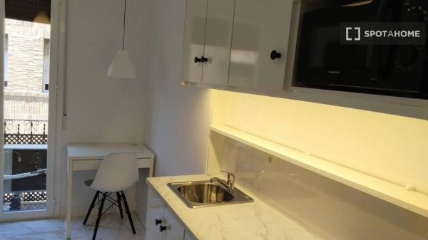 Studio apartment for rent in Granada