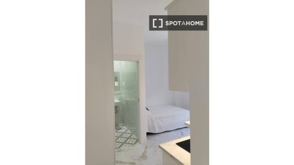 Studio apartment for rent in Granada