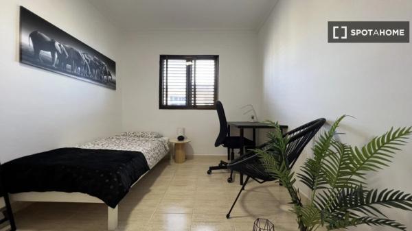 Room for rent in 4-bedroom apartment in Las Palmas