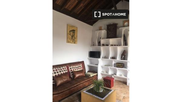 Apartamento entero de 1 dormitorio en Granada