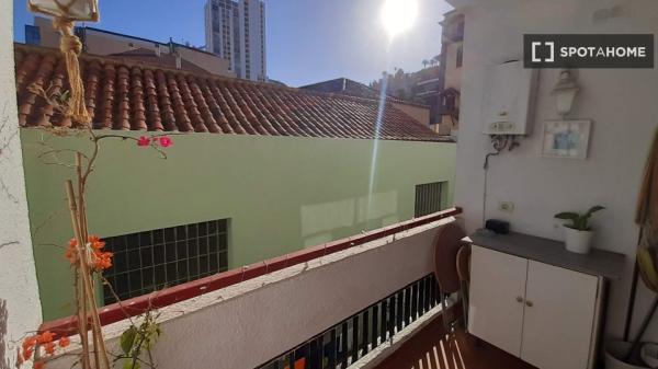 Apartamento tipo estudio en alquiler en Puerto De La Cruz, Tenerife