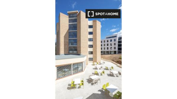 Twin Studio in the Student Residence in Granada