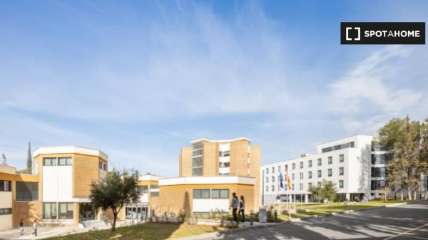 Twin Studio in the Student Residence in Granada