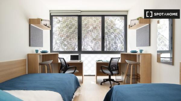 Twin Studio in the Student Residence in Granada