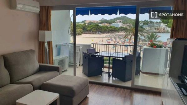 Apartamento entero de 1 dormitorio en Santa Ponça