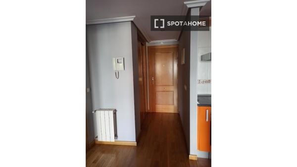 Piso en alquiler de 1 dormitorio en Valladolid, Valladolid