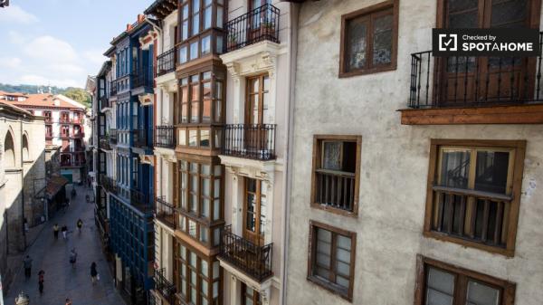 Gorgeous 1-bedroom apartment for rent in Casco Viejo, Bilbao