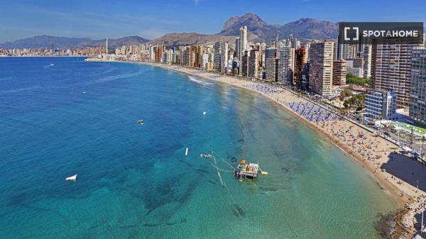 Apartamento entero de 2 dormitorios en Benidorm