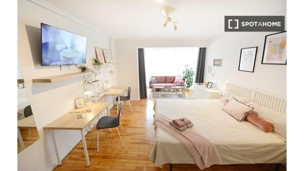 Room for rent in 4-bedroom apartment in Bilbao, Bilbao