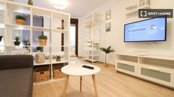 Estudio en Alicante (Alacant)