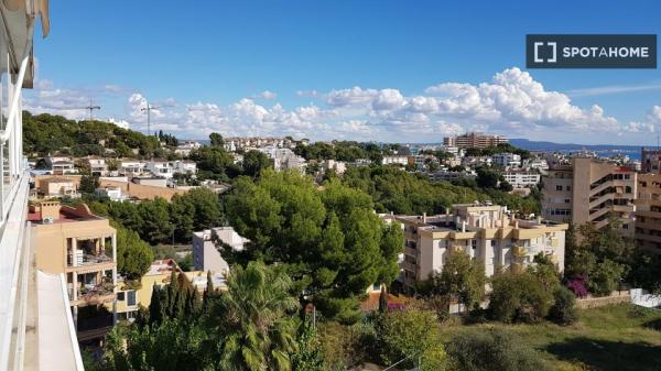 Apartamento entero de 1 dormitorio en Palma