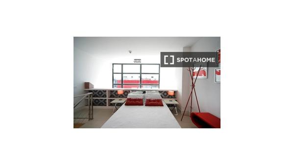 Apartamento entero de 1 habitaciones en Madrid