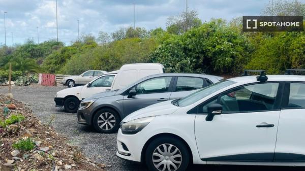 Aluga-se quarto em apartamento de 2 quartos em Moya, Las Palmas