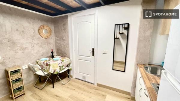 Studio apartment for rent in Las Palmas De Gran Canaria