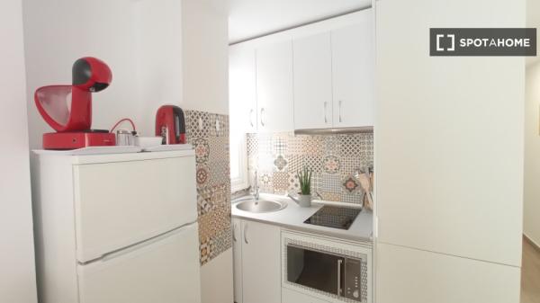 Apartamento completo de 2 dormitorios en Alicante (Alacant)