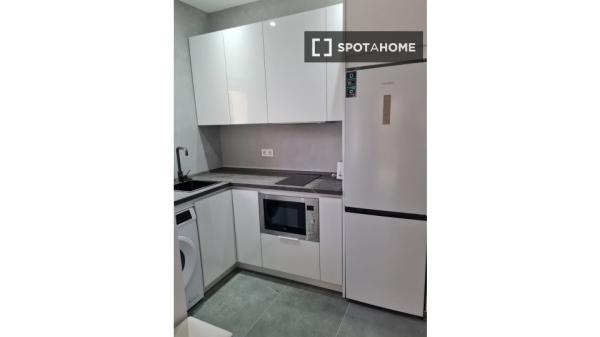 Apartamento de 1 dormitorio en alquiler en Torrellano, Alicante