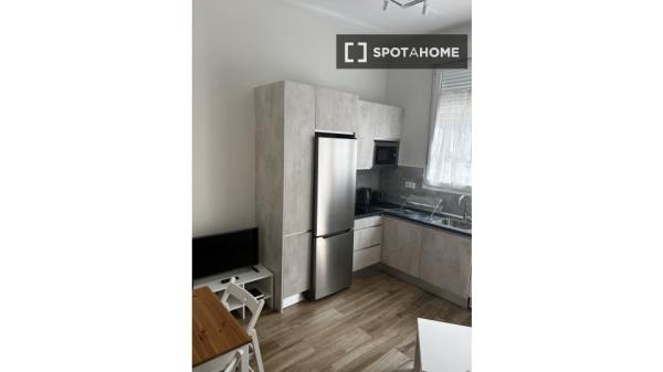 Apartamento tipo estudio en alquiler en Colonia, Madrid